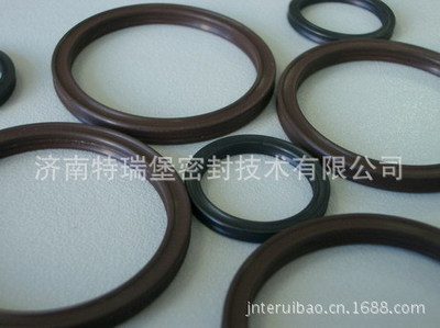 進口橡膠星型圈與氟膠密型圈 濟南特瑞堡密封技術(shù)的優(yōu)勢與應(yīng)用